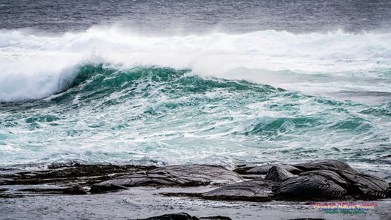 Bluster Day at the Coast 135