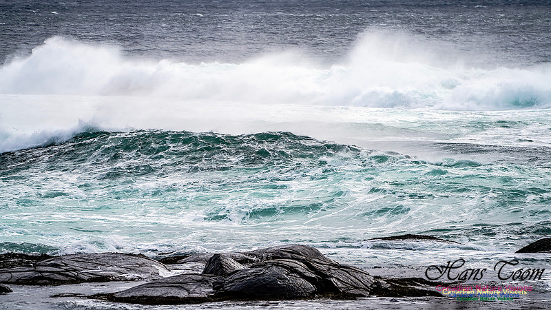 Bluster Day at the Coast 136