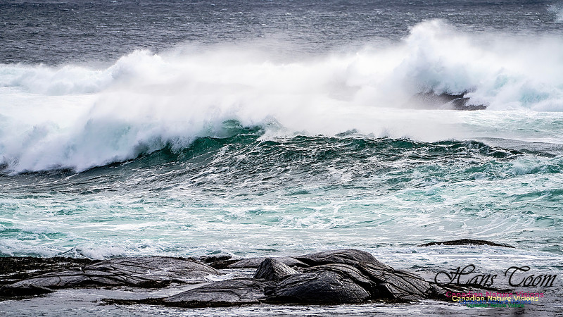 Bluster Day at the Coast 137