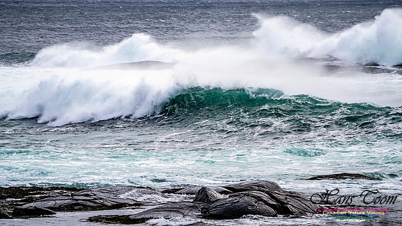 Bluster Day at the Coast 138