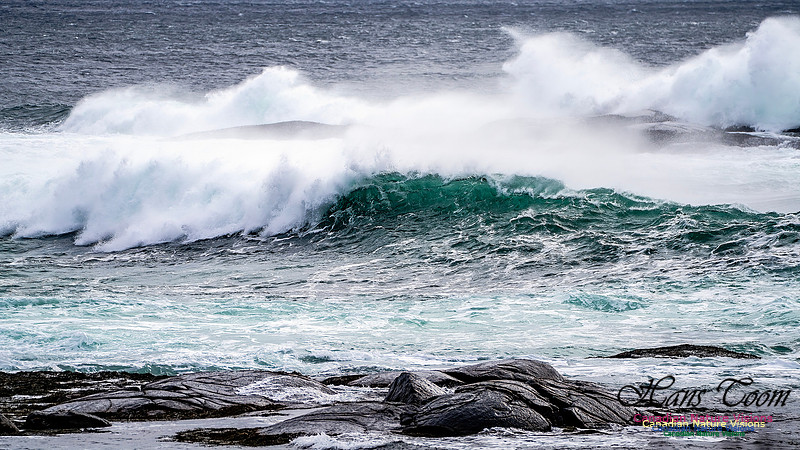 Bluster Day at the Coast 138