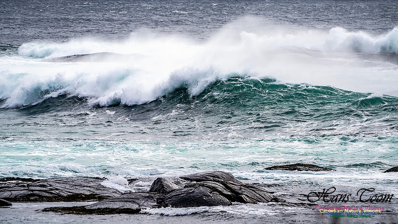 Bluster Day at the Coast 139