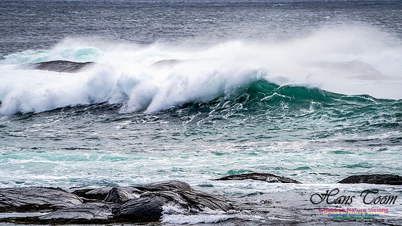 Bluster Day at the Coast 140