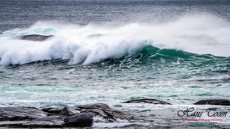 Bluster Day at the Coast 140