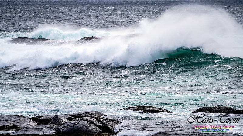 Bluster Day at the Coast 141