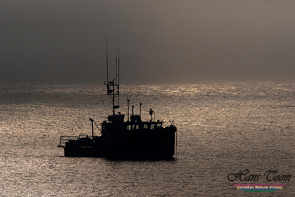 Diver's Boat