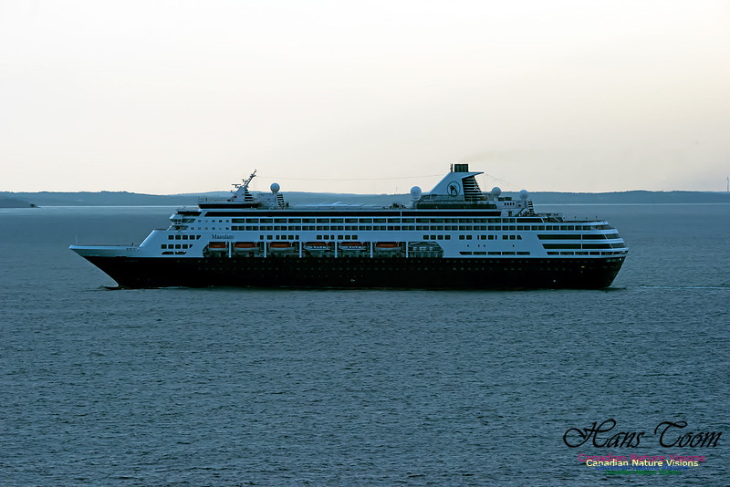 Maasdam