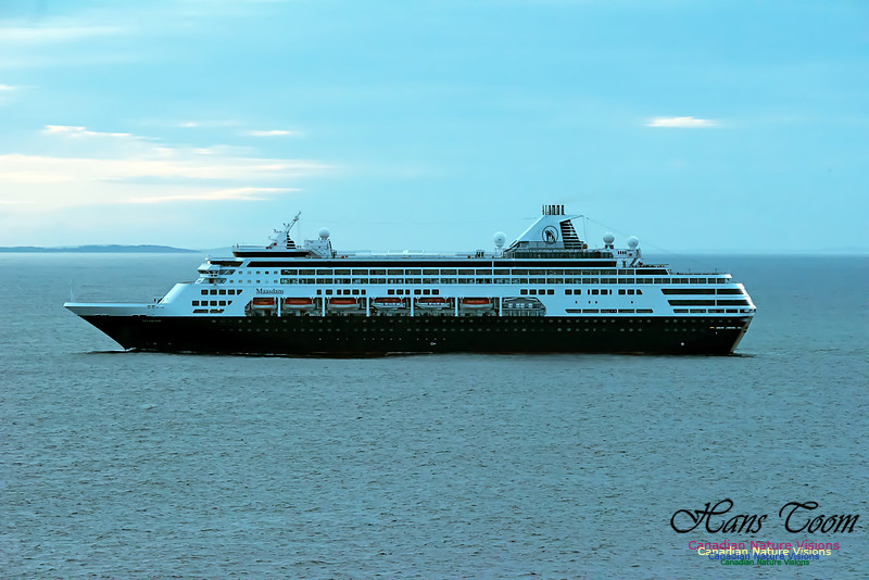 Maasdam