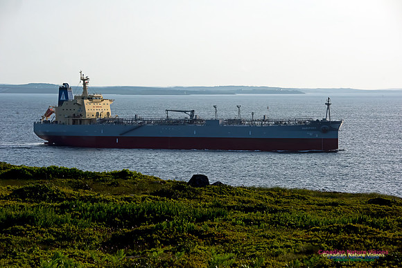 Maraposa