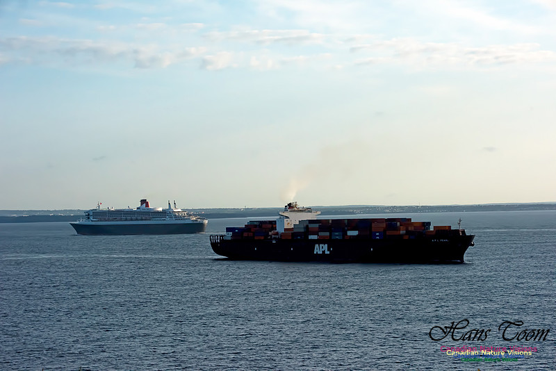 Queen Mary 2