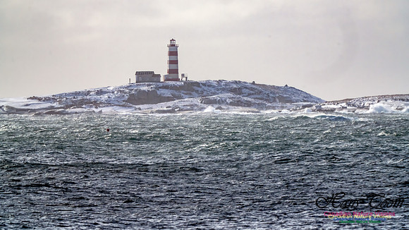 Nova Scotia Winter 315