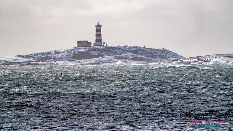 Nova Scotia Winter 315
