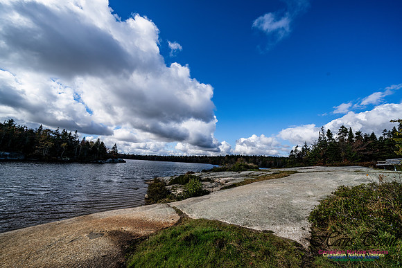 Sambro Loop 119