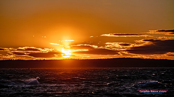 Peggy's Cove Sunset 910