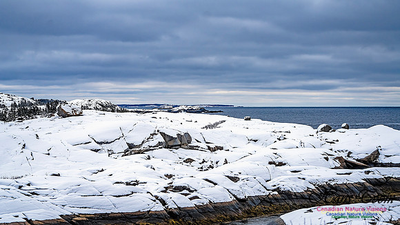 Nova Scotia In Winter 122