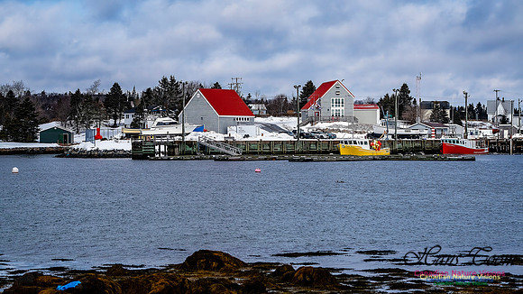 Nova Scotia In Winter 119