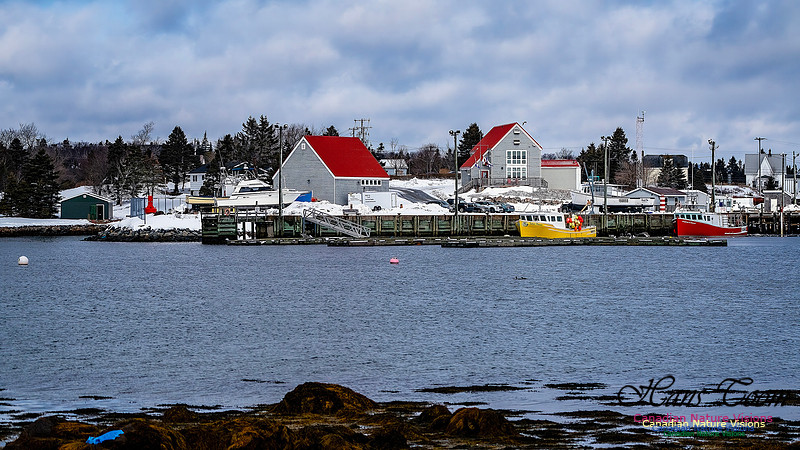 Nova Scotia In Winter 119