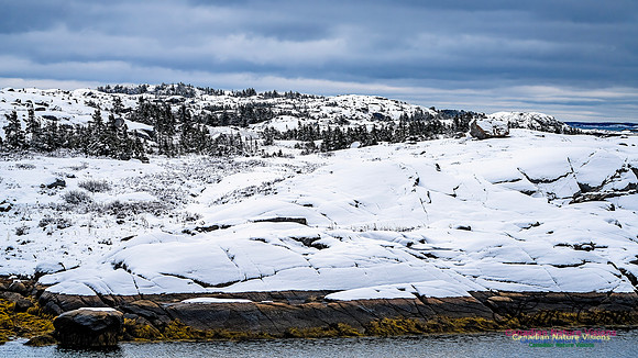 Nova Scotia In Winter 123