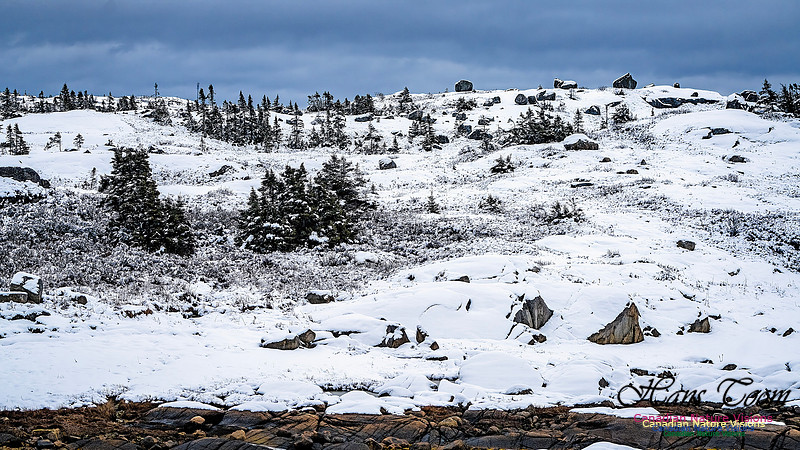 Nova Scotia In Winter 121