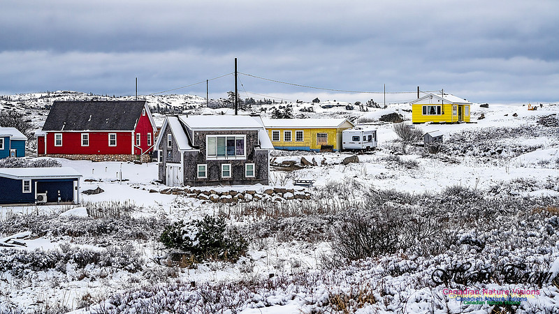 Nova Scotia In Winter 124