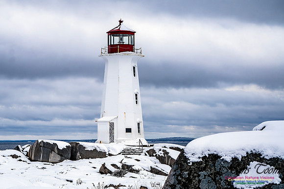 Nova Scotia In Winter 127