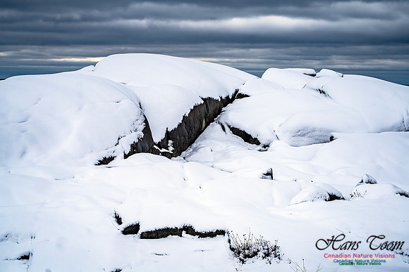 Nova Scotia In Winter 126