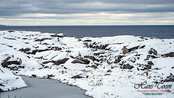 Nova Scotia In Winter 125