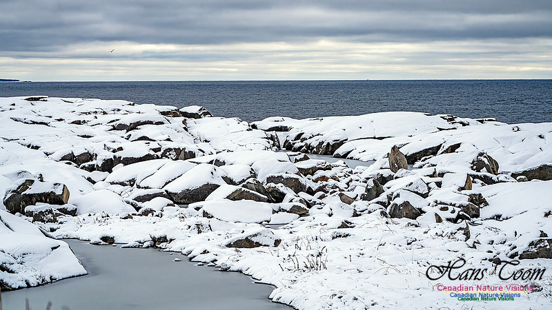 Nova Scotia In Winter 125