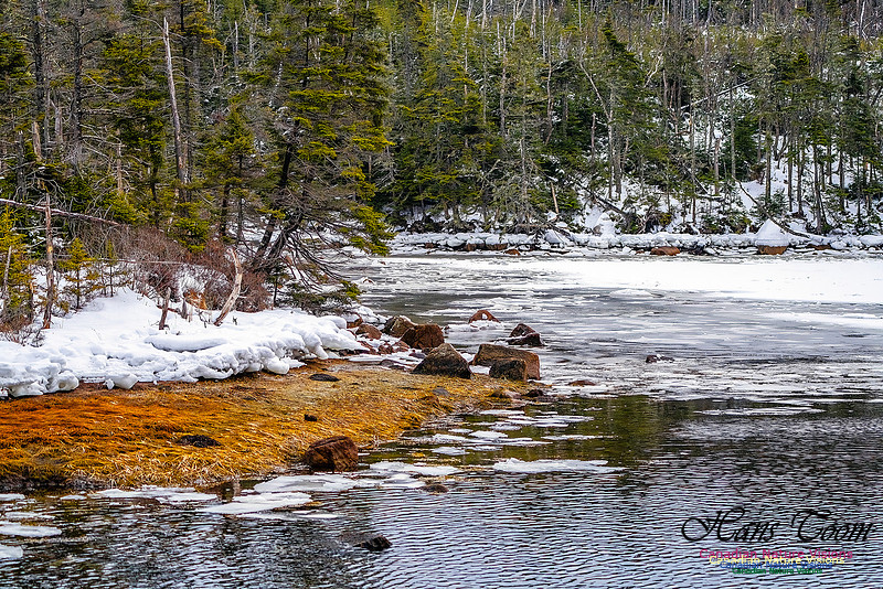 Nova Scotia In Winter 104