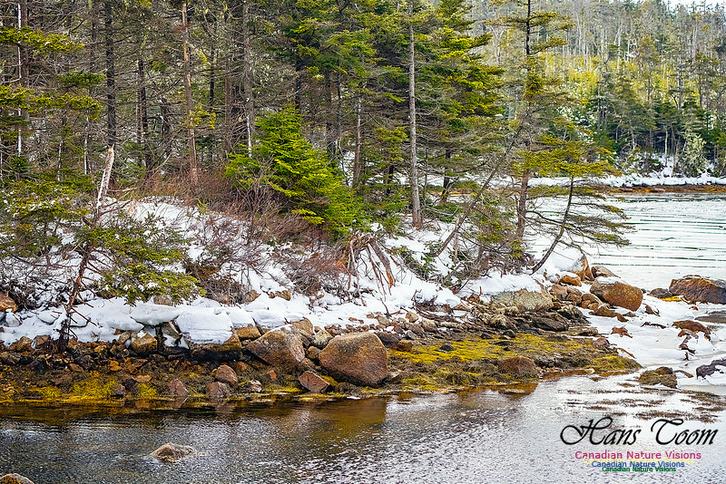 Nova Scotia In Winter 103