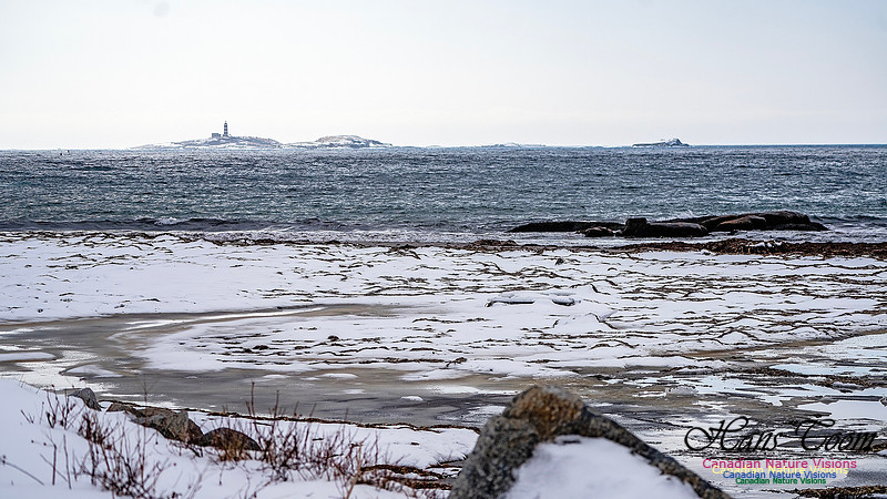 Nova Scotia In Winter 106