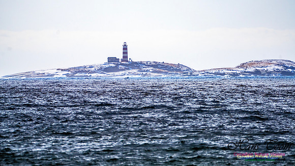 Nova Scotia In Winter 107
