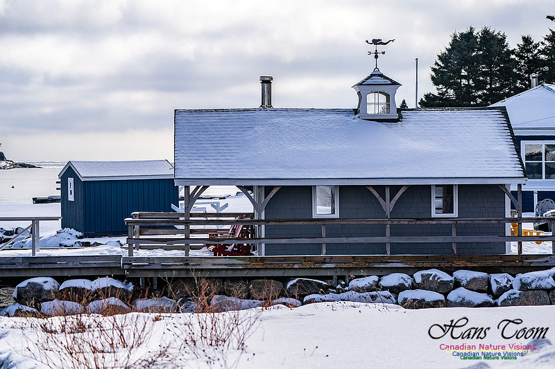 Nova Scotia In Winter 113
