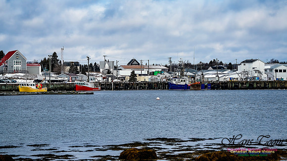 Nova Scotia In Winter 117
