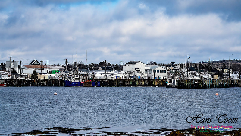 Nova Scotia In Winter 118