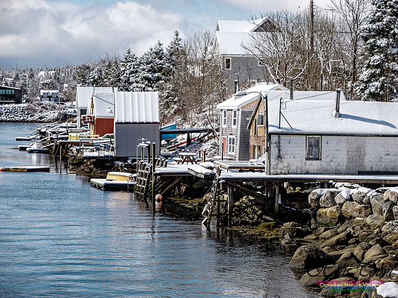 April Snow in Nova Scotia 222