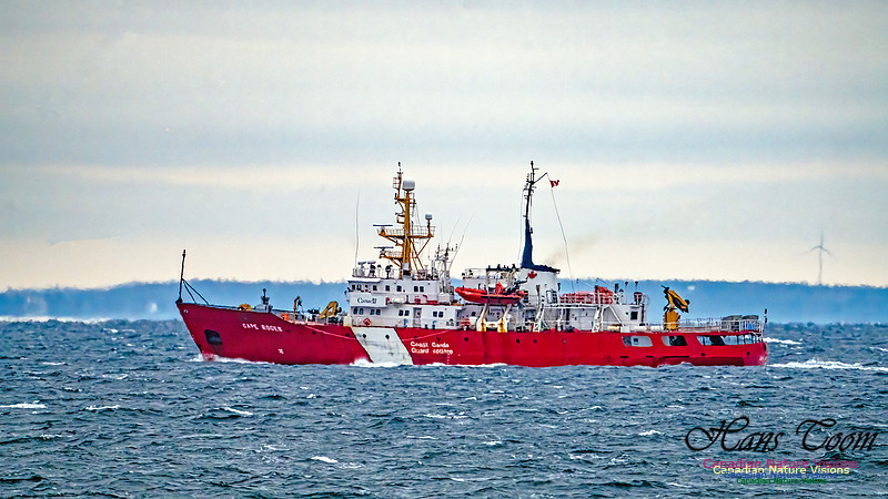 Cape Roger 100