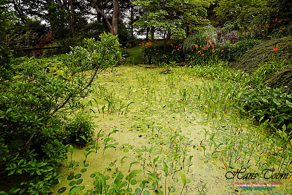 Annapolis Royal Historic Gardens 2015