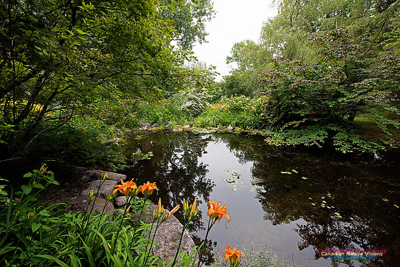 Annapolis Royal Historic Gardens 2015