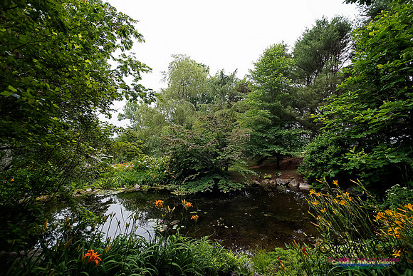 Annapolis Royal Historic Gardens 2015