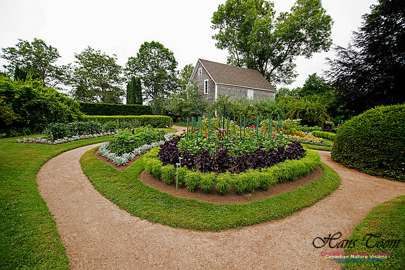 Annapolis Royal Historic Gardens 2015