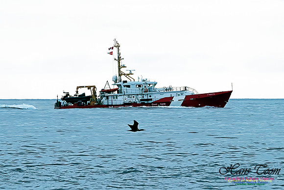 CCGS Peddle