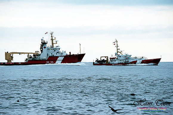 CCGS Samuel Risley and CCGS Peddle