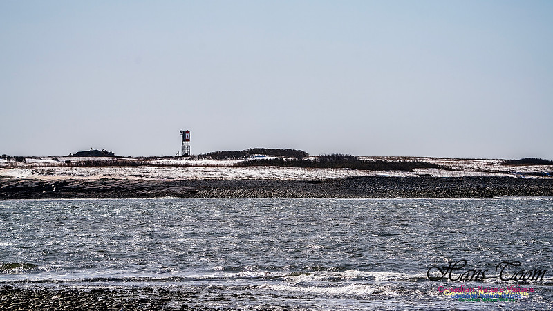 Devil's Island 100