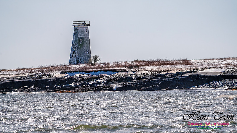 Devil's Island 101