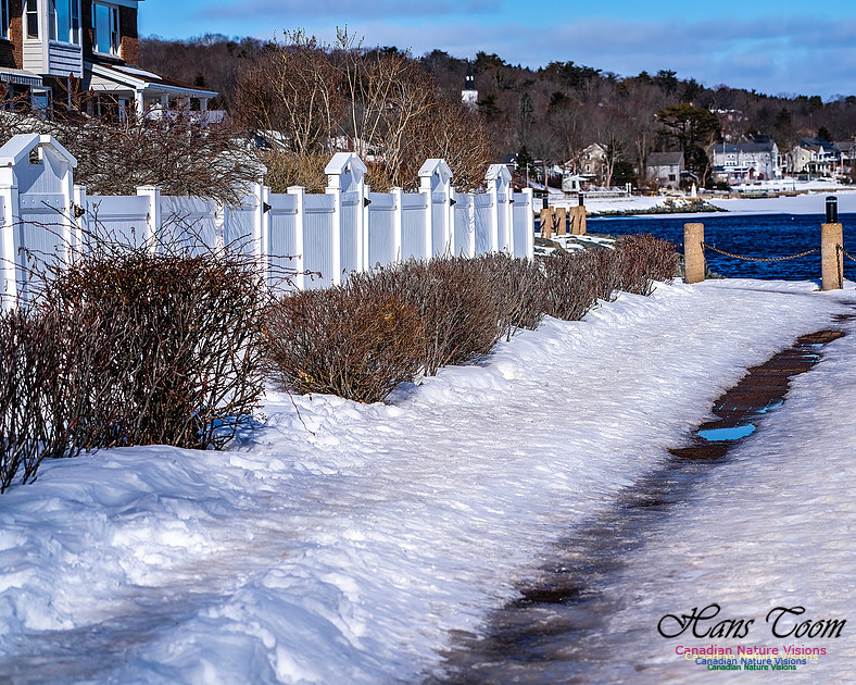 Mill Cove Condos 100