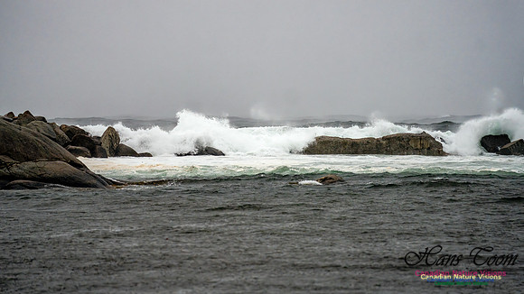 Nova Scotia Gale 2024-09-07 191