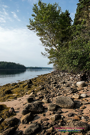 Troop Island Eastern Shoreline