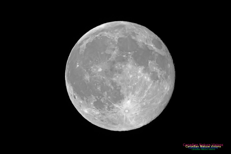 Blue Moon 2015