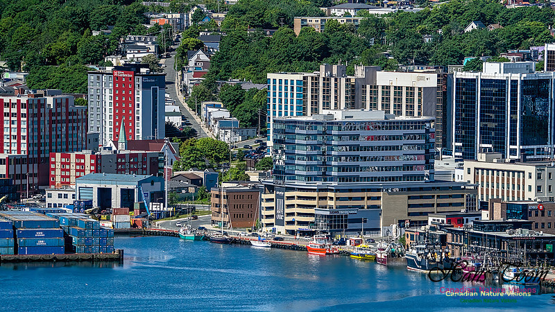 St. John's, Newfoundland 108